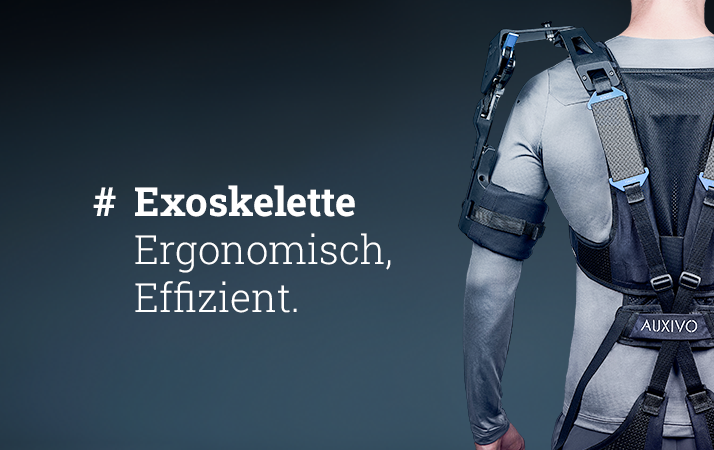 DD_Einstieg_Kat_Exo_klein